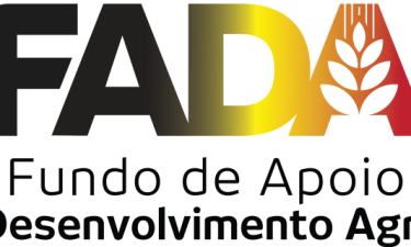 FADA tem novo Presidente do Conselho de Administração: novo líder foi director de gabinete da antiga direcção